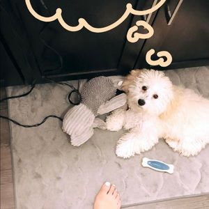 Meet your Posher, Thandie